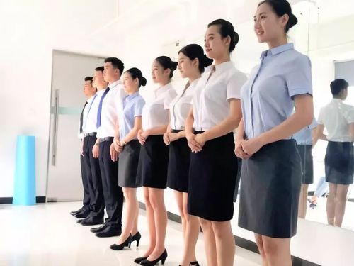 皇桥教育旗下云启